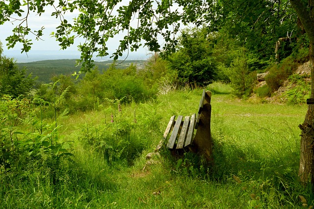 帮助火箭在 帮助火箭在