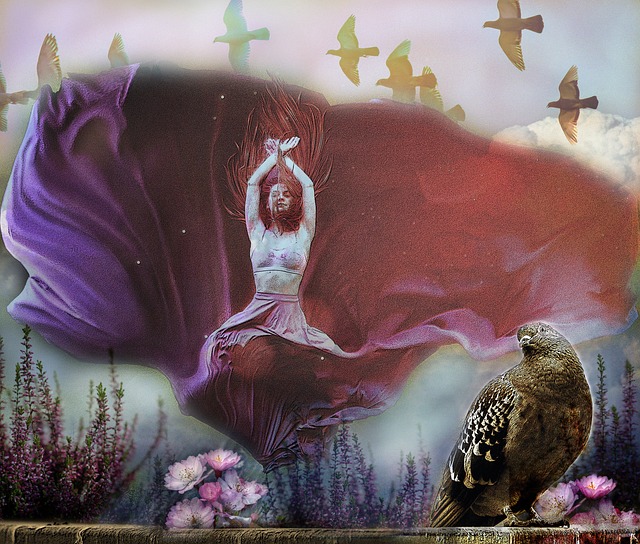 他的敏捷身 他的敏捷身