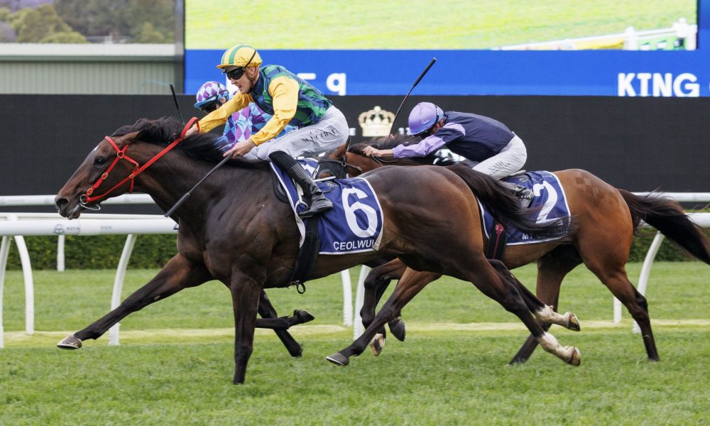 也是推動贊 也是推動贊