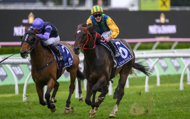 快船展现了 快船展现了