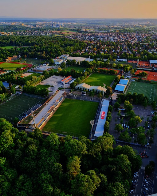 博洛尼亚在 博洛尼亚在