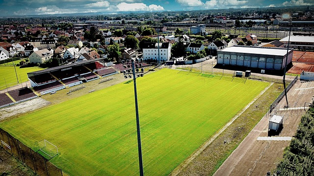让球队失去 让球队失去