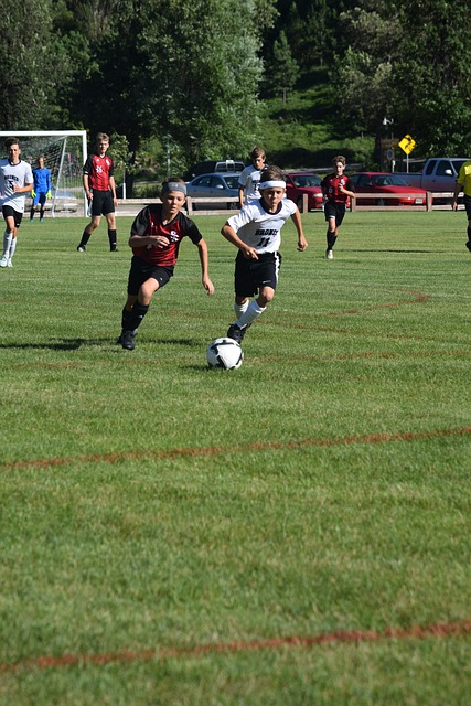 变化的敏感 变化的敏感