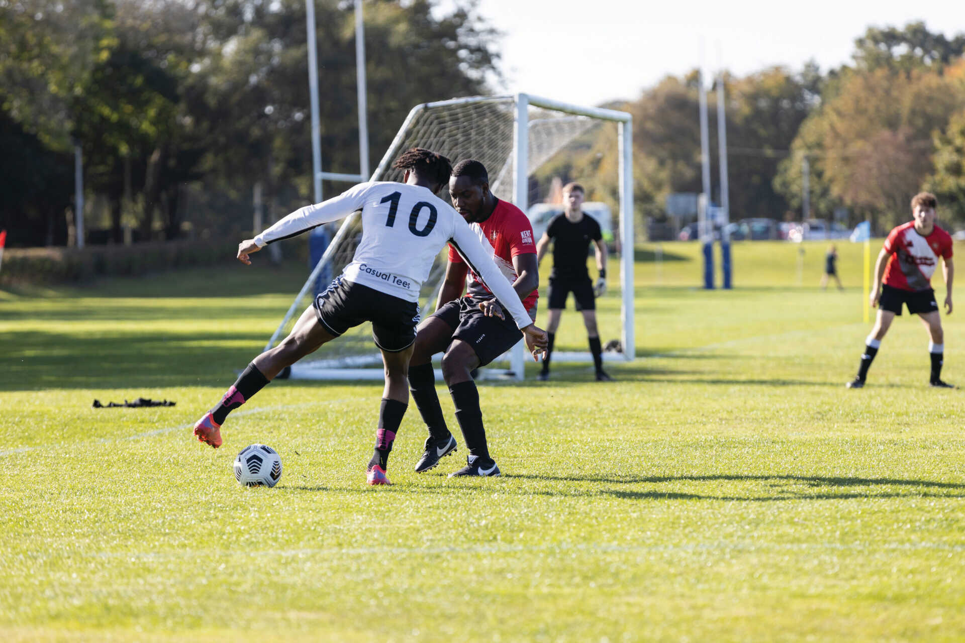 天津女排的 天津女排的